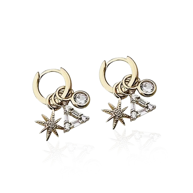 Eva Dangle Hoop Earrings