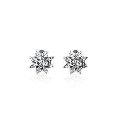 Star Stone Earrings